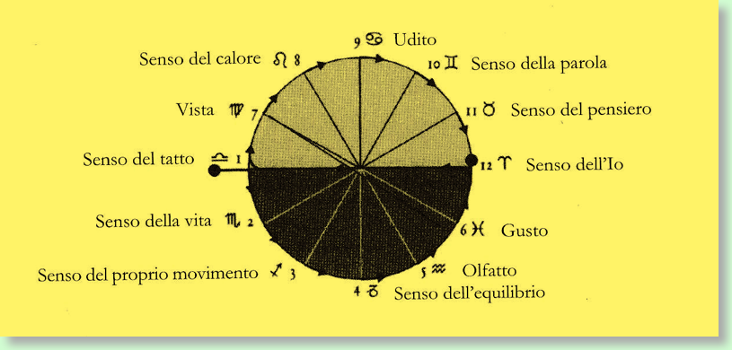 cerchio dei 12 sensi giallo
