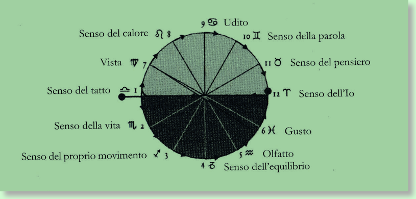 cerchio dei 12 sensi verde